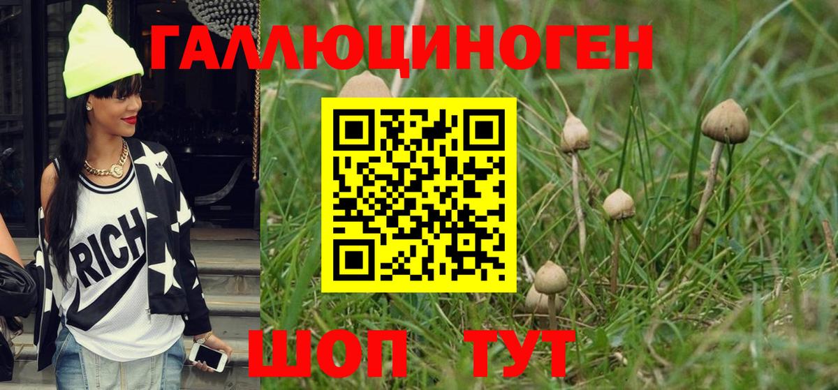 Нефтекамск  где можно купить   Вход с VPN  Галлюциногенные грибы мухоморы  Псилоцибиновые грибы Psilocybine cubensis 